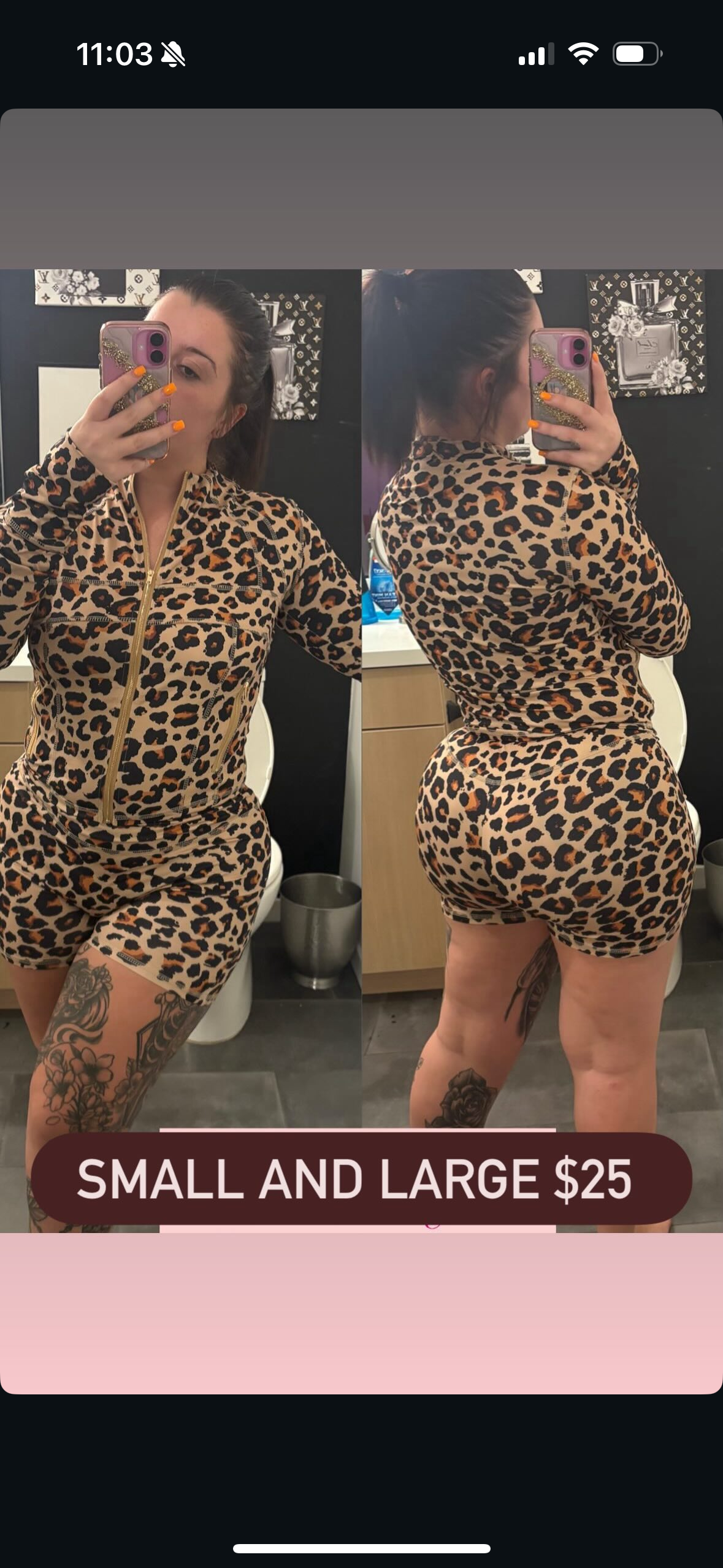 Cheetah Workout