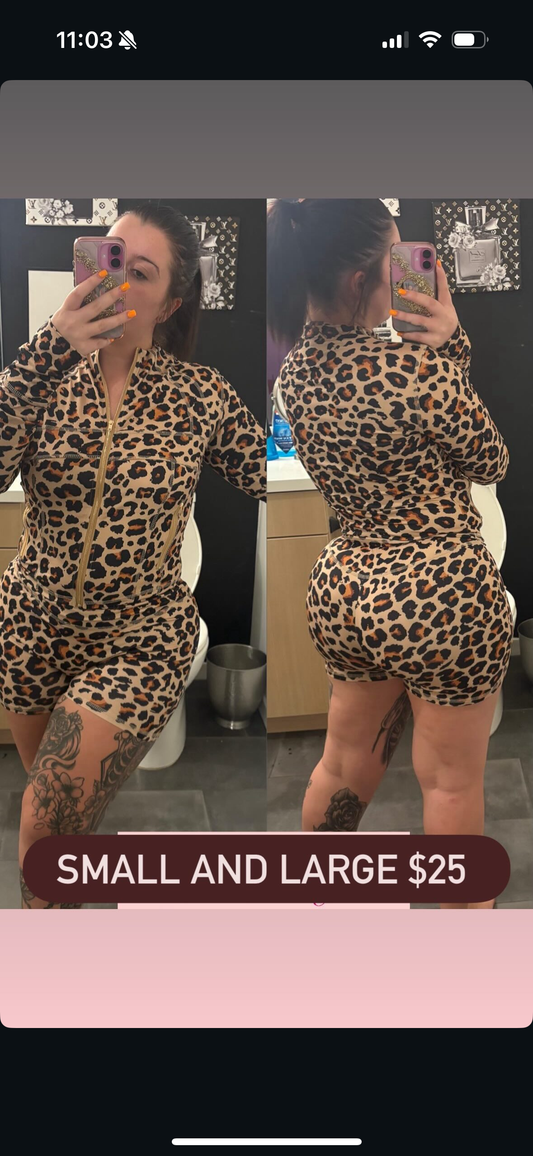 Cheetah Workout